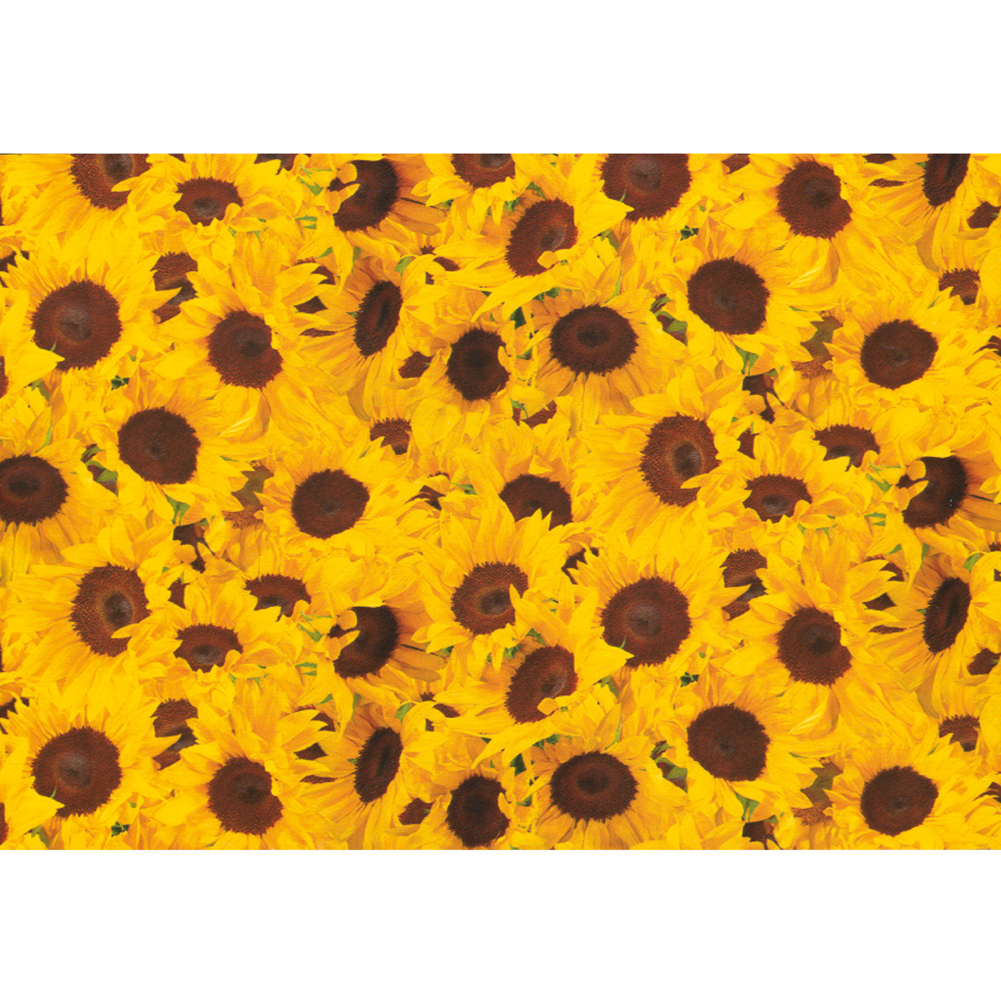 Hartie pt. ambalare 70 x 200cm/rola 70gr/mp model cu floarea soarelui HERLITZ