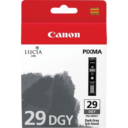 Cartus, dark gray, CANON PGI-29DGY