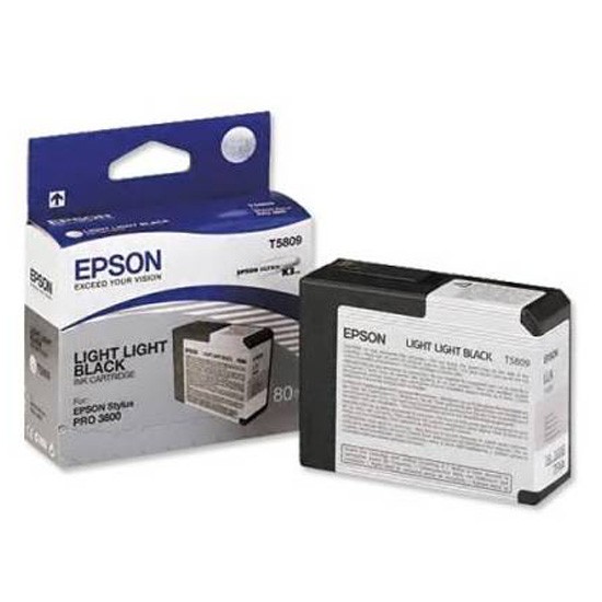 Cartus, Light Light Black, EPSON C13T580900