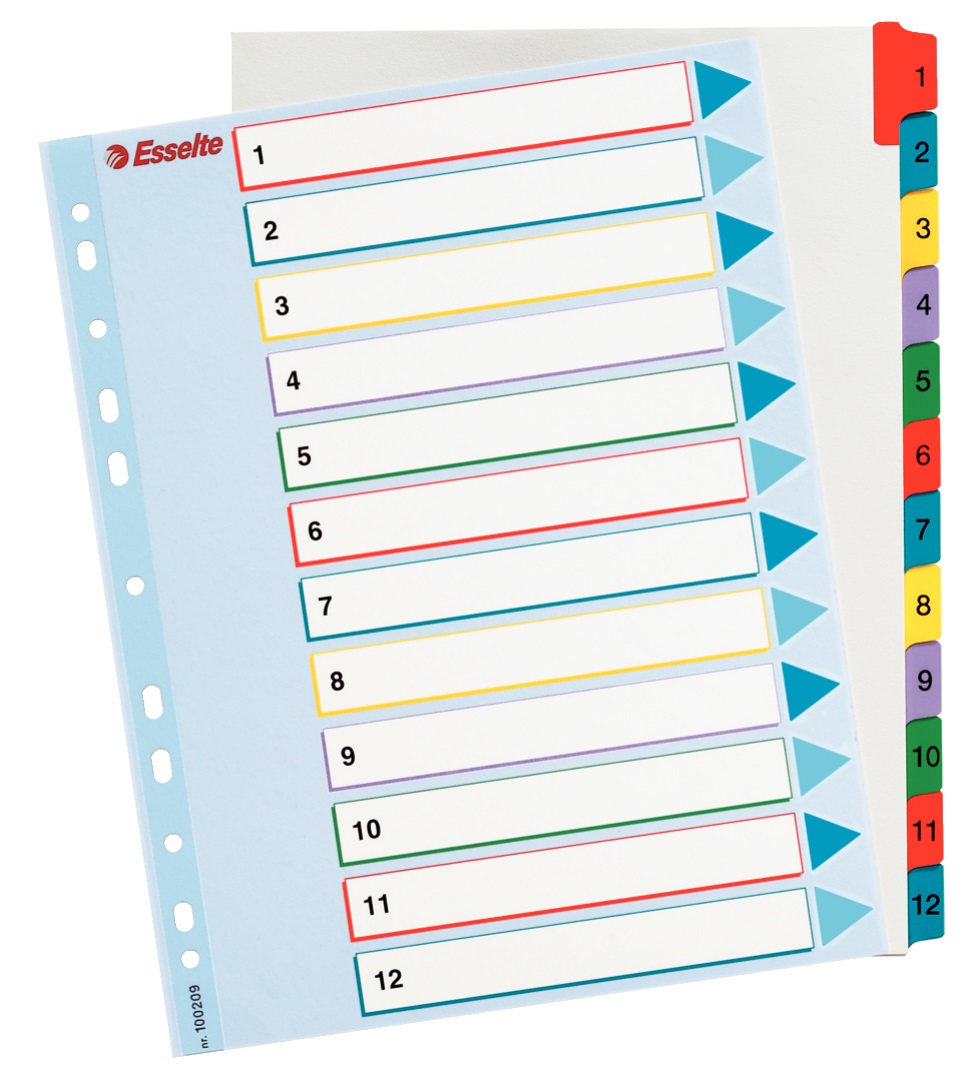 Separatoare din carton cu index 1-12, A4, reinscriptibil, ESSELTE