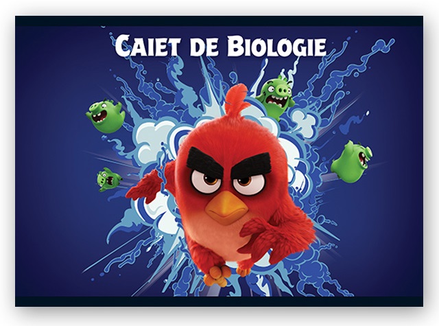 Caiet pentru biologie 17 x 24cm 24 file ANGRY BIRDS