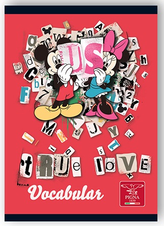 Vocabular 12 x 17cm 24 file MINNIE MOUSE